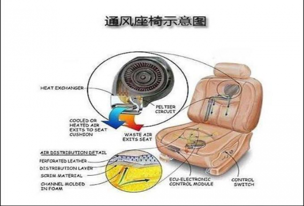 비싸고 안좋지만 등받이가 젖고 싶지 않다면 시트 환기가 그만한 가치가 있습니까?